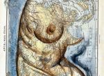 Torso Peq